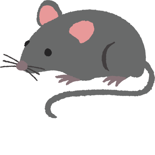 Ratinho